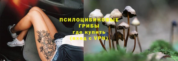 PSILOCYBIN Валдай