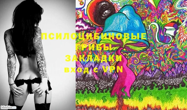 мескалин Няндома