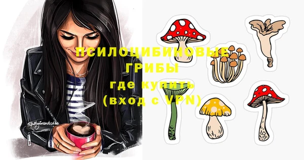 ГАЛЛЮЦИНОГЕННЫЕ ГРИБЫ Нягань