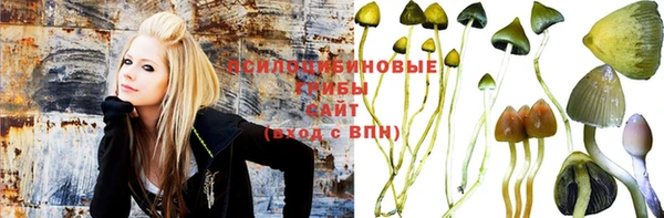 ГАЛЛЮЦИНОГЕННЫЕ ГРИБЫ Нягань
