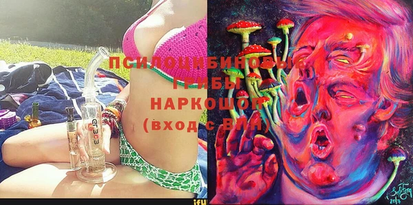 ГАЛЛЮЦИНОГЕННЫЕ ГРИБЫ Нягань