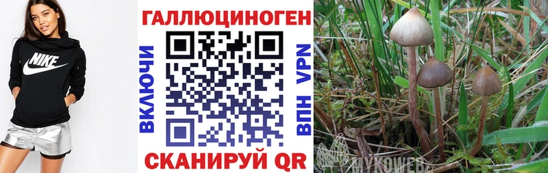 Псилоцибиновые грибы Magic Shrooms  Белоозёрский 